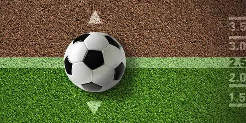 Tìm hiểu cách đọc kèo rung là như thế nào?